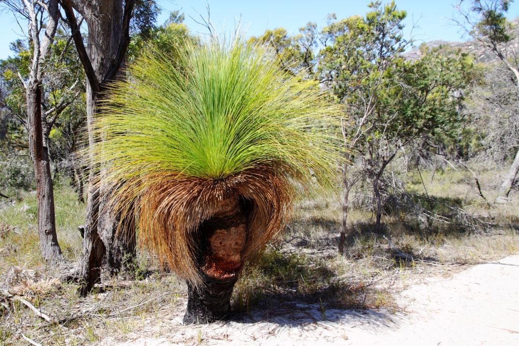 08 - Frecinet NP (14).jpg